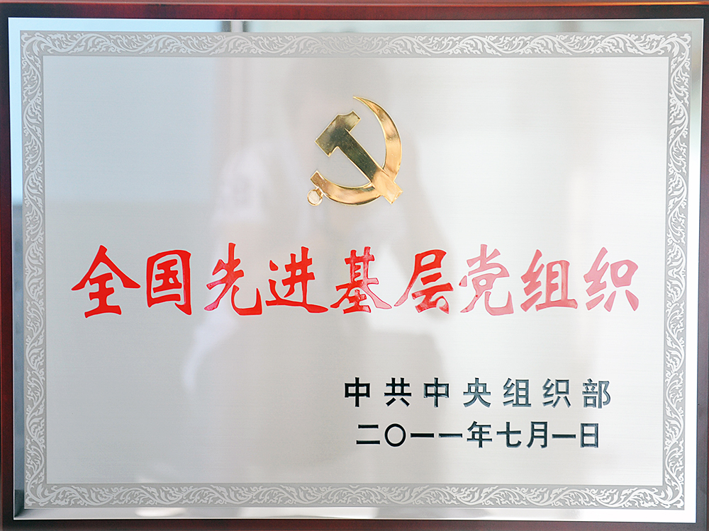 2011年7月，中共湖北人生就是博集团委员会被中共中央组织部授予“全国先进基层党组织”