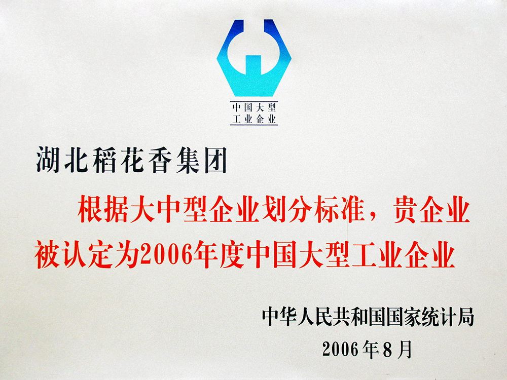 2006年8月，人生就是博集团被国家统计局认定为”中国大型工业企业“